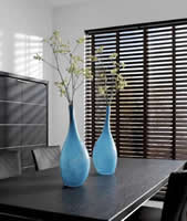 BLINDS HUNTER DOUGLAS  -  FREE Estimates & FREE In-Home Consulation - Blinds, Shutters, Window Blinds, Plantation Shutters, Vertical Blinds, Mini Blinds, Wood Shutters, Venetian Blinds, Shades, Vinyl Blinds, Plantation Shutters, Window Shutters, Faux wood Blinds, Vertical Blinds, Wood Blinds, Roman Shades, Drapery, Draperies
